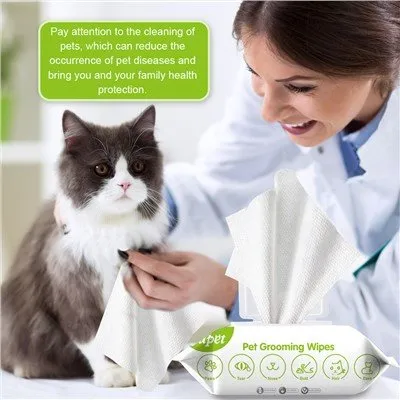 Lap Pembersihan Kucing