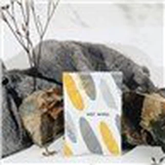 Lap Bulu Haiwan Peliharaan