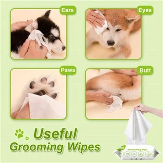 Tisu Basah Untuk Anjing